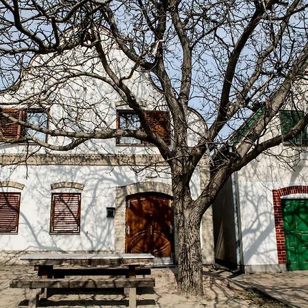 Berger Pince-Vendeghaz, Hajosi Pincek Hotel Екстериор снимка