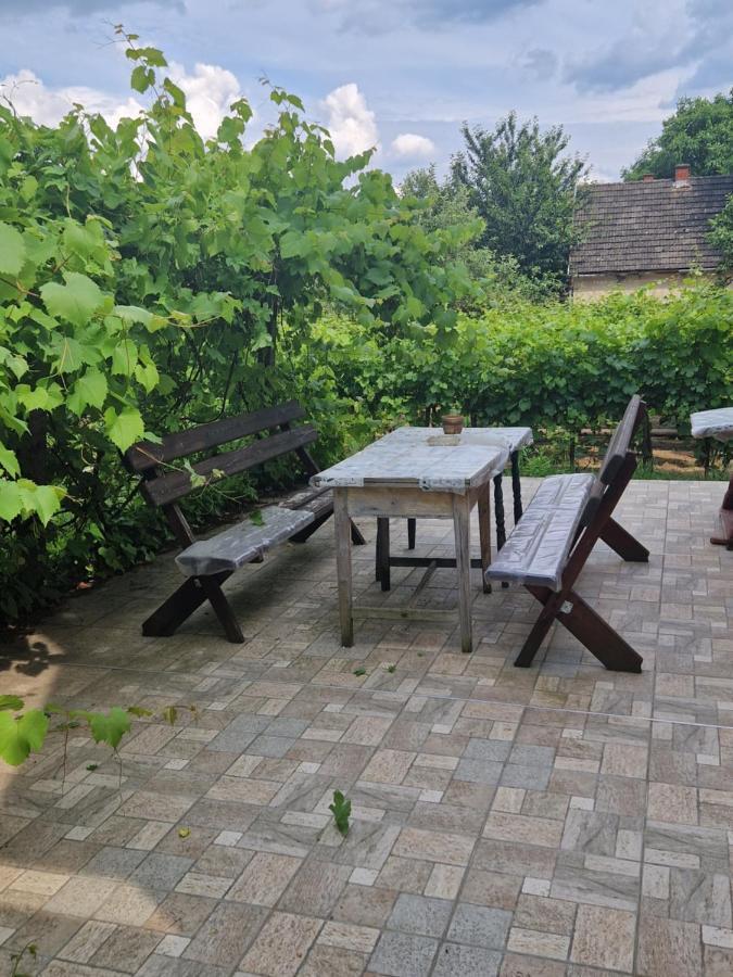 Berger Pince-Vendeghaz, Hajosi Pincek Hotel Екстериор снимка
